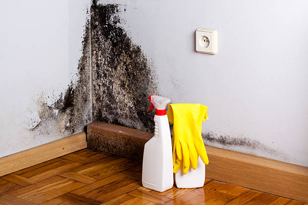 Sewage cleanup and water damage restoration